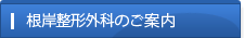 根岸整形外科のご案内